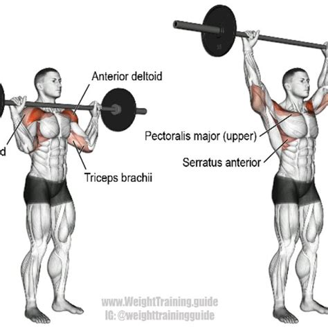 How to Do the Dumbbell Overhead Press. Stand upright and keep the back straight. Hold a dumbbell in each hand, at the shoulders, with an overhand grip. Thumbs are on the inside and knuckles face up. Exhale as you raise the weights above the head in a controlled motion. Pause briefly at the top of the motion.